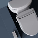 Brondell Swash EM617 bidet toilet seat and remote control with a blue background